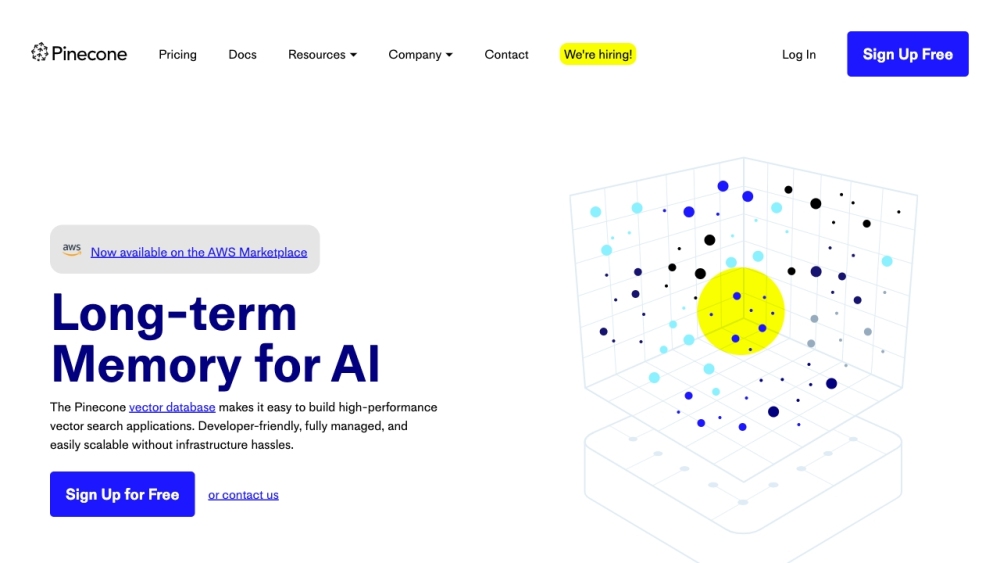 Pinecone: Vector Database, Next-Gen Search, API Accessible : Billion-Item Search, API Call Access