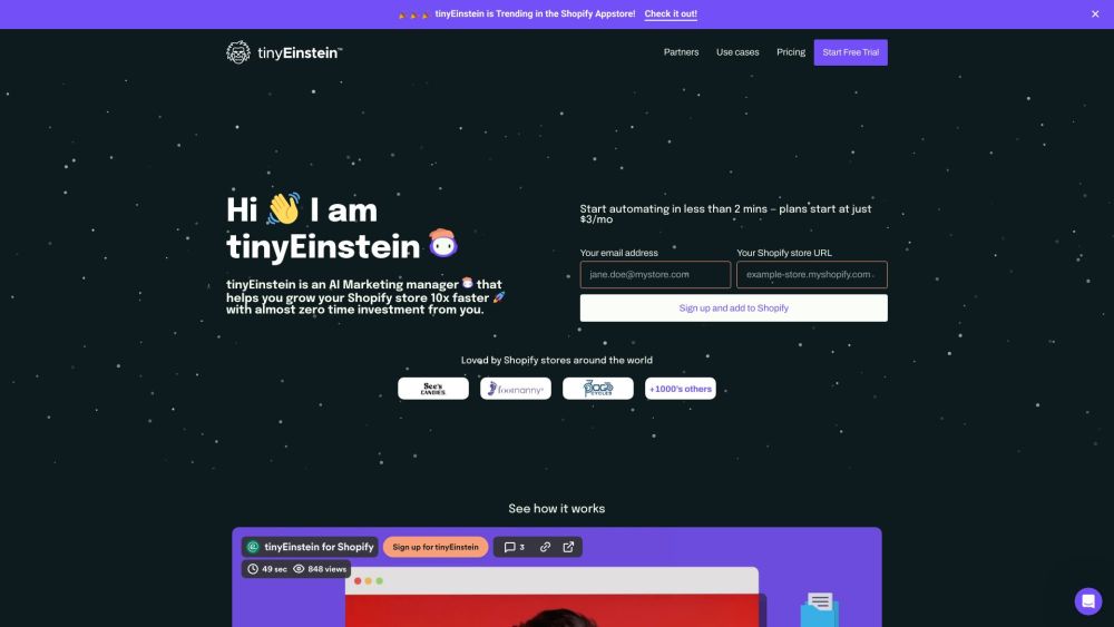 tinyEinstein: AI-Driven Marketing for 10x Faster Shopify Growth