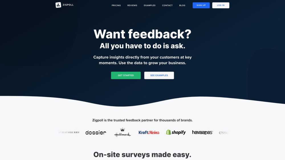 Zigpoll: AI-Powered Survey & Feedback Tool, No-Code Setup, Multi-Channel