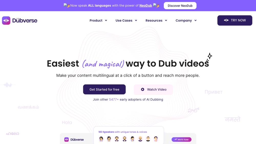 Dubverse: AI Video Dubbing, Multilingual & Fast