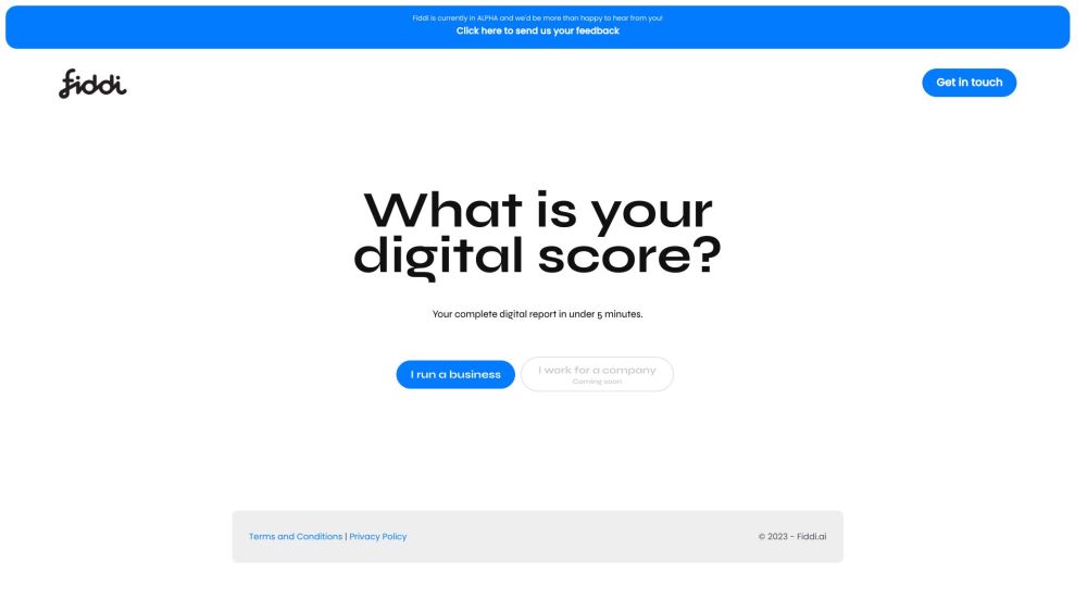 Fiddi.ai: AI Digital Presence Assessment & Marketing Insights Platform