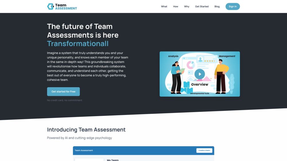 Team Assessment: Boosting Productivity through Personality Insights