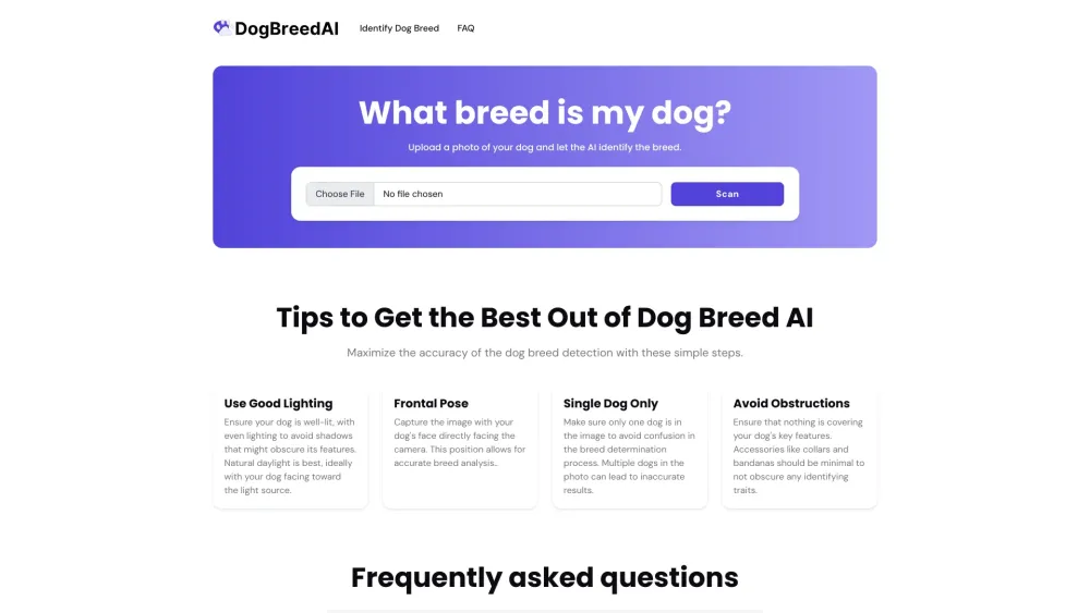 Identify Dog Breeds with AI: Photo Upload, Instant Breed Analysis