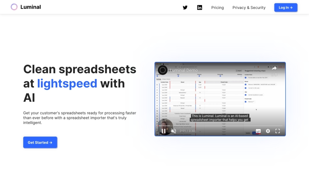 Luminal: AI Copilot for Faster Spreadsheet Cleaning & Analysis