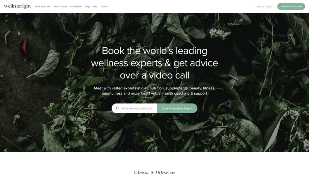 Well Me Right: Book Top Health Coaches & Wellness Experts Online