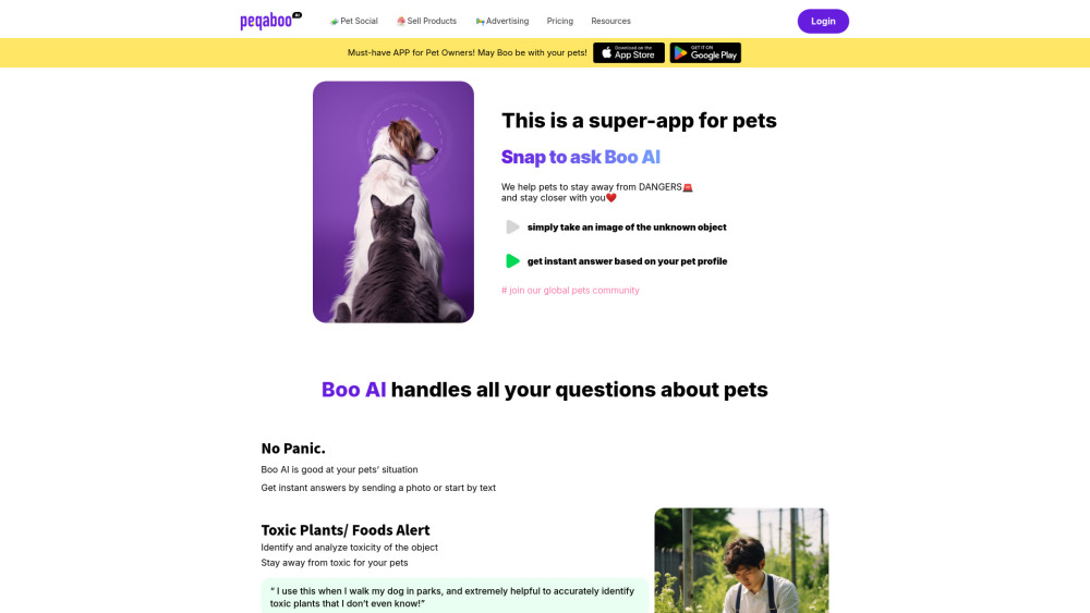 **Boo AI, Peqaboo : AI-Powered Social App for Pet Owners**