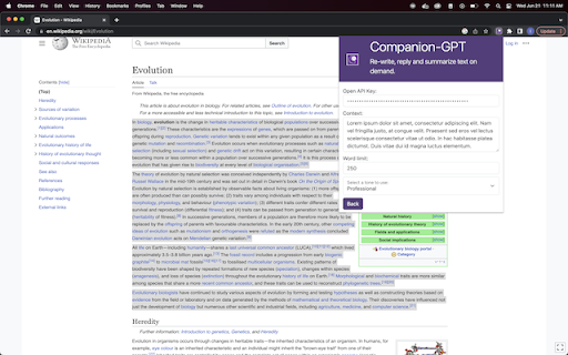 AI Summarizer - Chrome Extension : Text Summarization AI