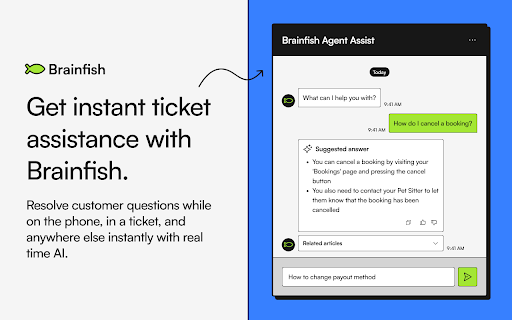 Brainfish - Chrome Extension: Instant Answers for Customer Documentation