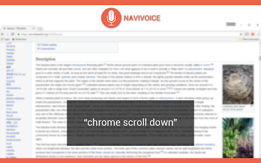 NaviVoice - Chrome Extension: Voice-Browsing Web Tool