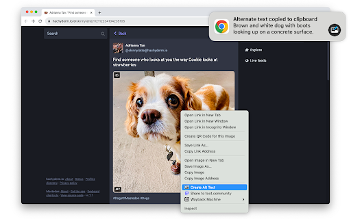 Alt Text Creator: Chrome Extension for Automatic Image Alt Text Generation