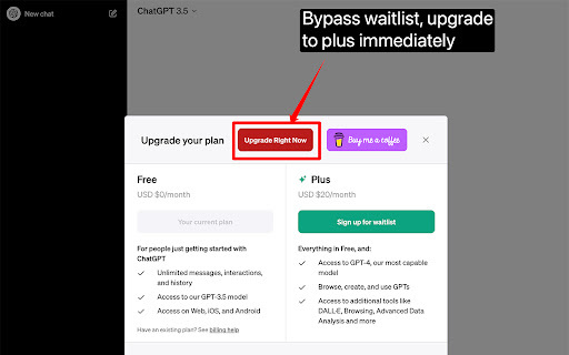 Chatgpt Plus Waitlist Skipper: Skip Waitlist Instantly for ChatGPT Plus