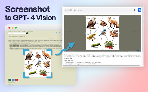 GPT-4 Vision Screenshot - Chrome Extension : Instant Screen Knowledge Extraction