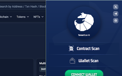 TensorScan: Real-Time Ethereum Wallet Transaction Analysis - Chrome Extension