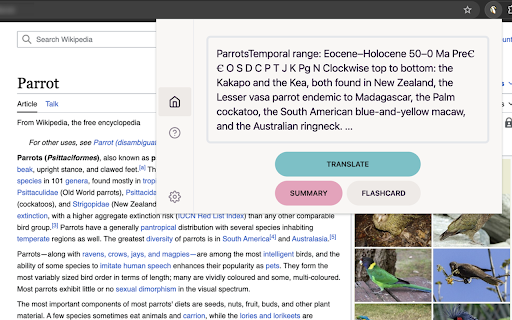 Doozy - Chrome Extension: Enhance Browsing with AI for Smarter Surfing