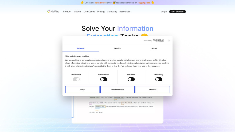 NuMind: Custom NLP Models for Efficient Data Extraction Solutions