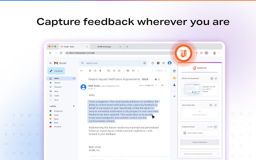 UserVoice Feedback Extension: Real-Time Customer Feedback Collection Tool