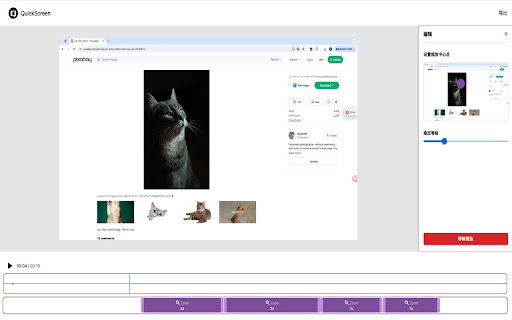 Quick Screen: Record, Zoom, Export & Edit with Chrome Extension Tools