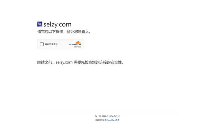 Selzy 2022: Email Marketing Made Simple : Design, Craft, Execute